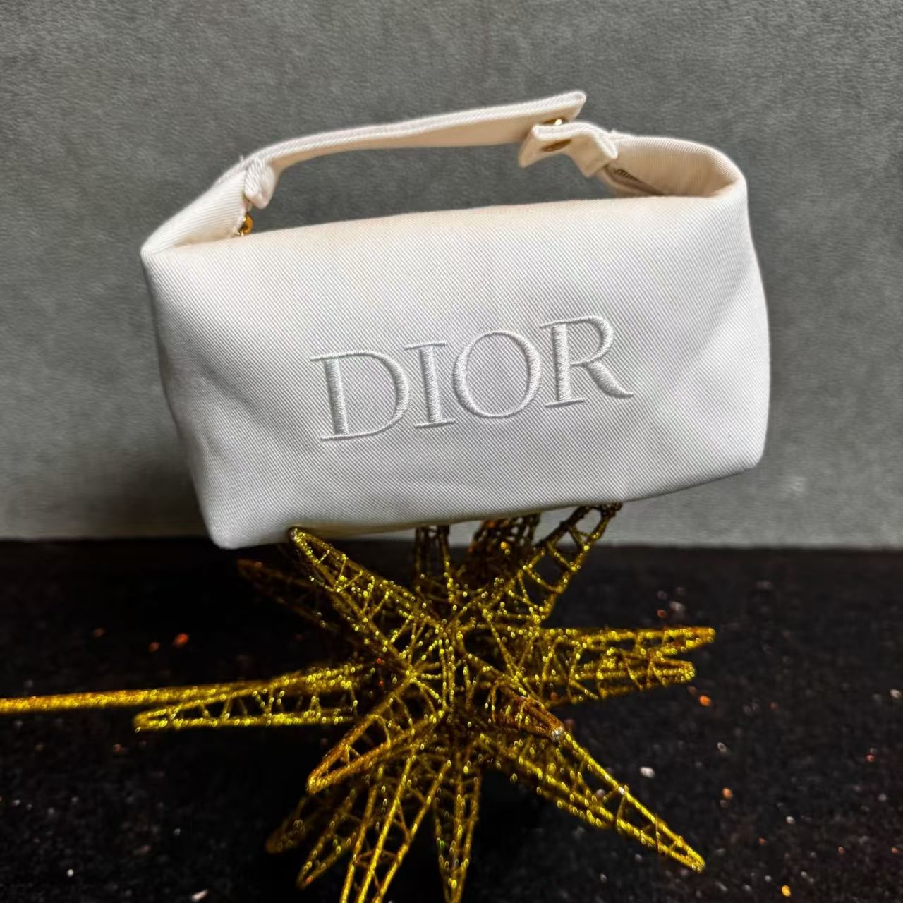 DIOR Makeup/Handbag Portable Storage Bag